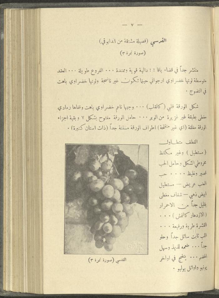 منشورات عن دائرة الزراعة والغابات، مطلع ثلاثينيات القرن العشرين
