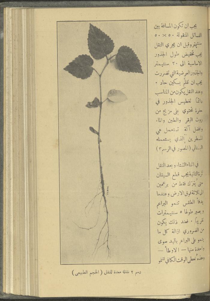 منشورات عن دائرة الزراعة والغابات، مطلع ثلاثينيات القرن العشرين