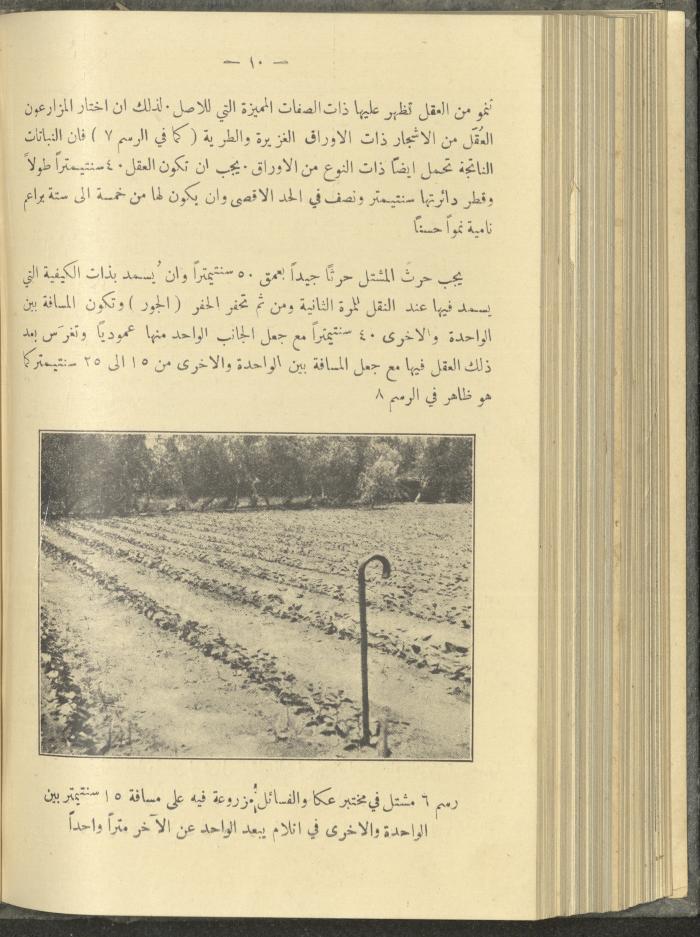 منشورات عن دائرة الزراعة والغابات، مطلع ثلاثينيات القرن العشرين
