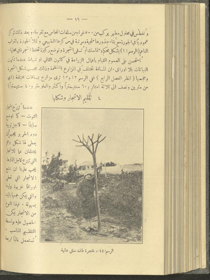 منشورات عن دائرة الزراعة والغابات، مطلع ثلاثينيات القرن العشرين