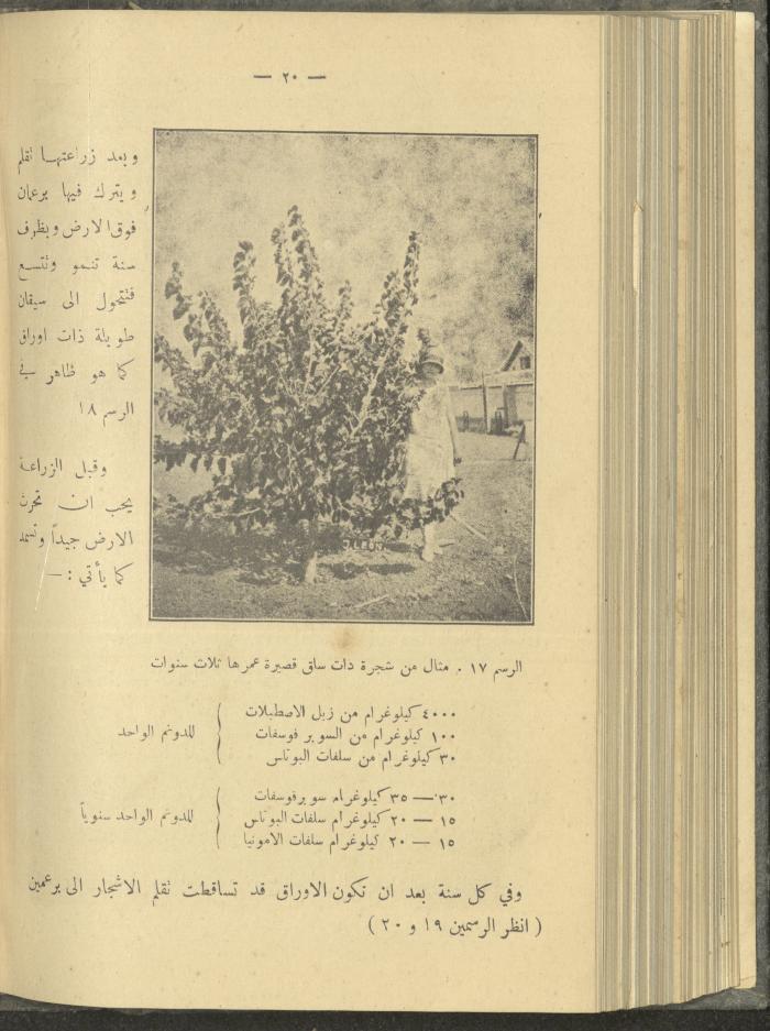 منشورات عن دائرة الزراعة والغابات، مطلع ثلاثينيات القرن العشرين