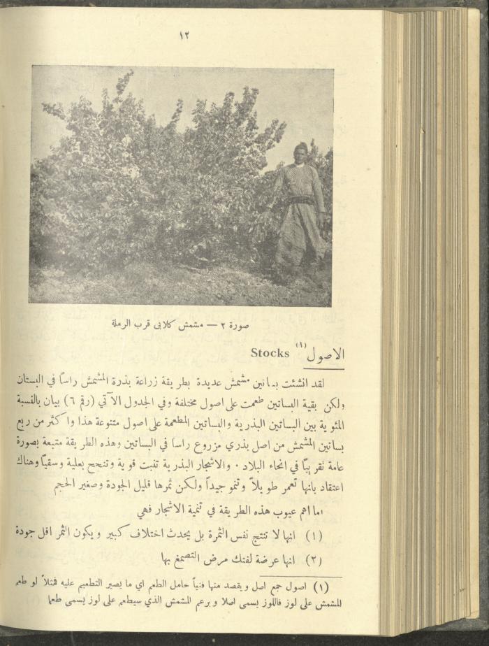 منشورات عن دائرة الزراعة والغابات، مطلع ثلاثينيات القرن العشرين