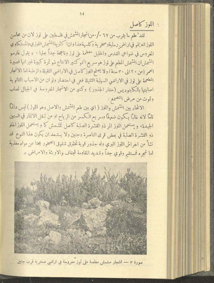 منشورات عن دائرة الزراعة والغابات، مطلع ثلاثينيات القرن العشرين