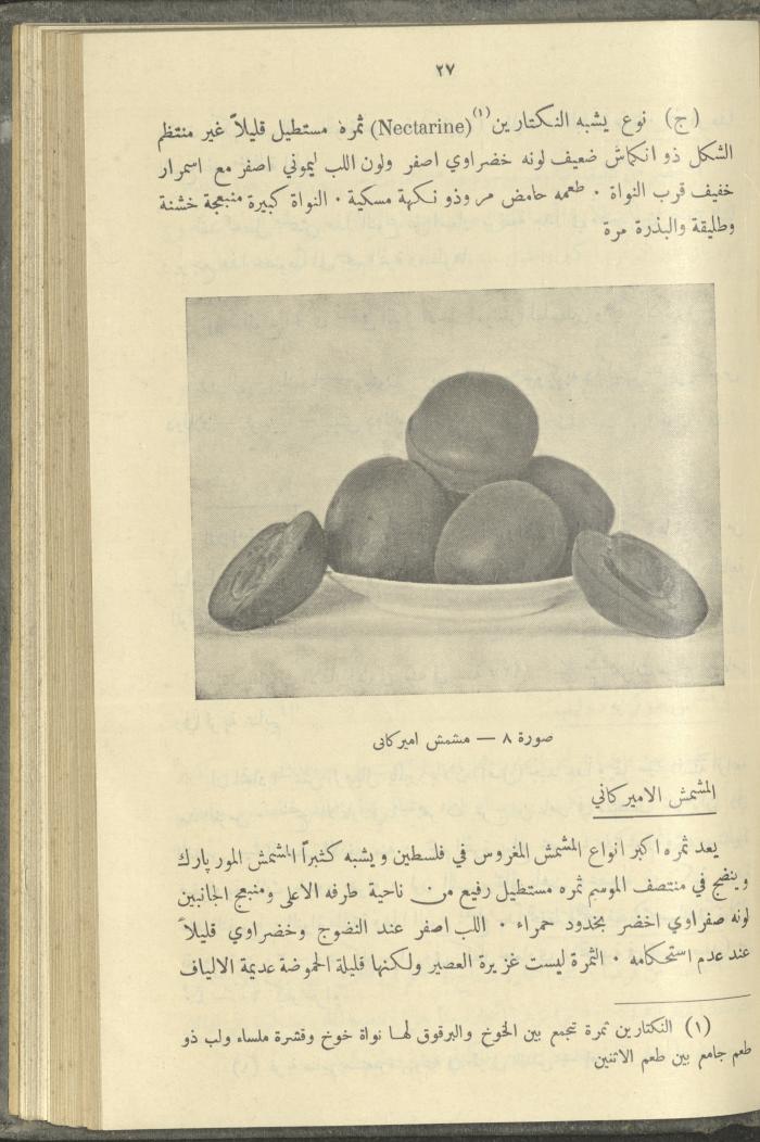 منشورات عن دائرة الزراعة والغابات، مطلع ثلاثينيات القرن العشرين