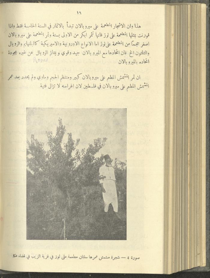 منشورات عن دائرة الزراعة والغابات، مطلع ثلاثينيات القرن العشرين
