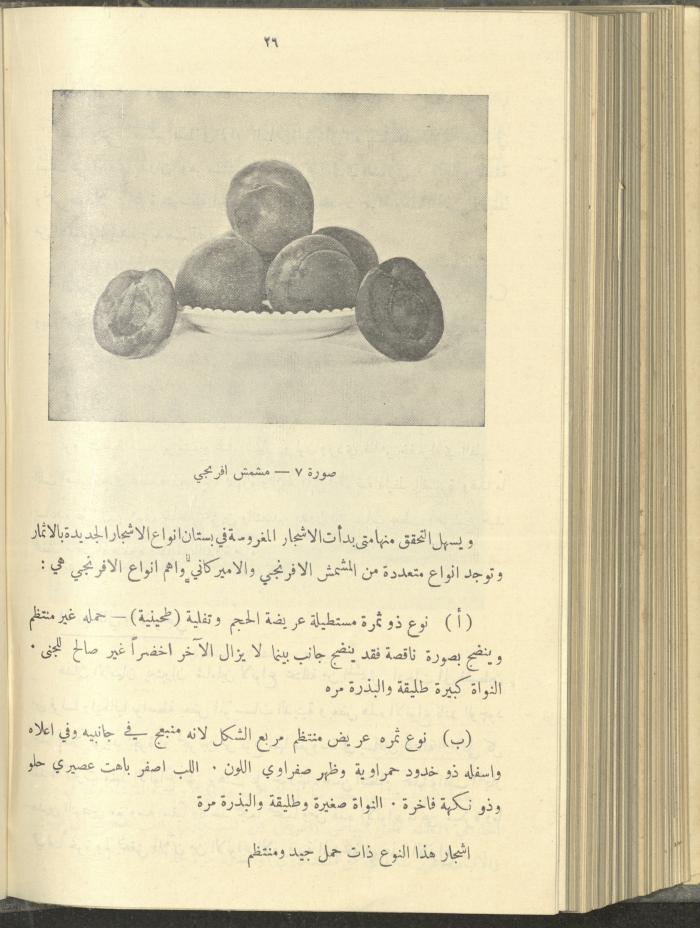 منشورات عن دائرة الزراعة والغابات، مطلع ثلاثينيات القرن العشرين