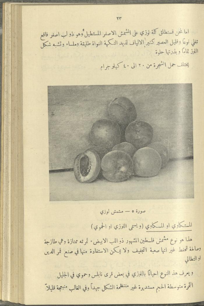 منشورات عن دائرة الزراعة والغابات، مطلع ثلاثينيات القرن العشرين