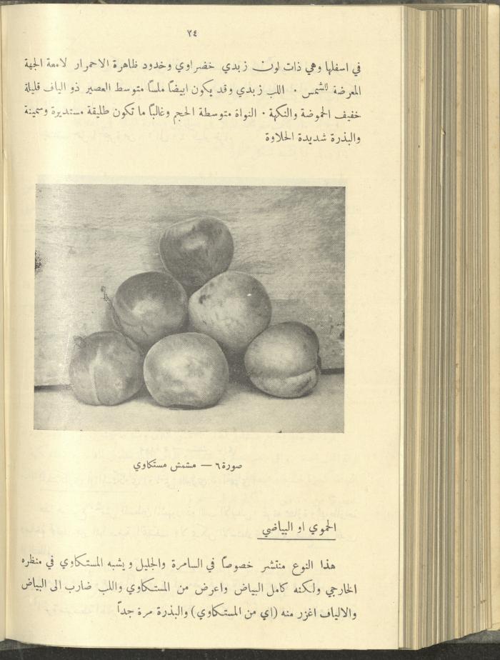 منشورات عن دائرة الزراعة والغابات، مطلع ثلاثينيات القرن العشرين