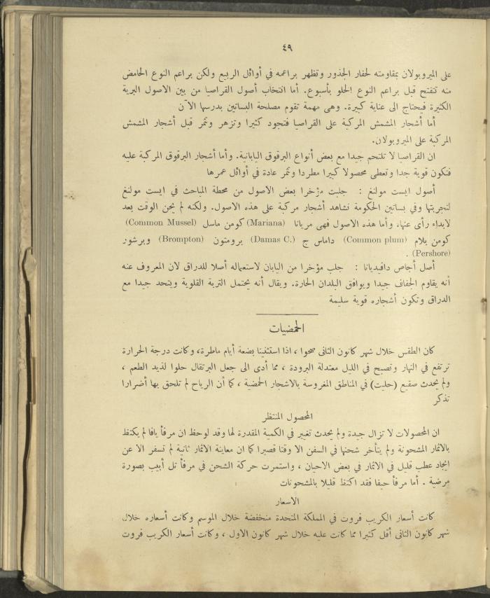 الملحق الزراعي من الوقائع الفلسطينية، ثلاثينيات وأربيعينيات القرن العشرين