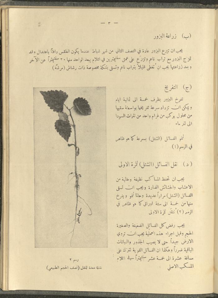 الملحق الزراعي من الوقائع الفلسطينية، ثلاثينيات وأربيعينيات القرن العشرين