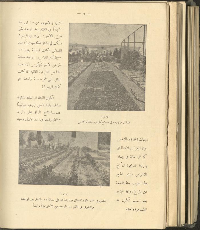 الملحق الزراعي من الوقائع الفلسطينية، ثلاثينيات وأربيعينيات القرن العشرين