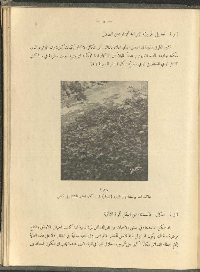 الملحق الزراعي من الوقائع الفلسطينية، ثلاثينيات وأربيعينيات القرن العشرين