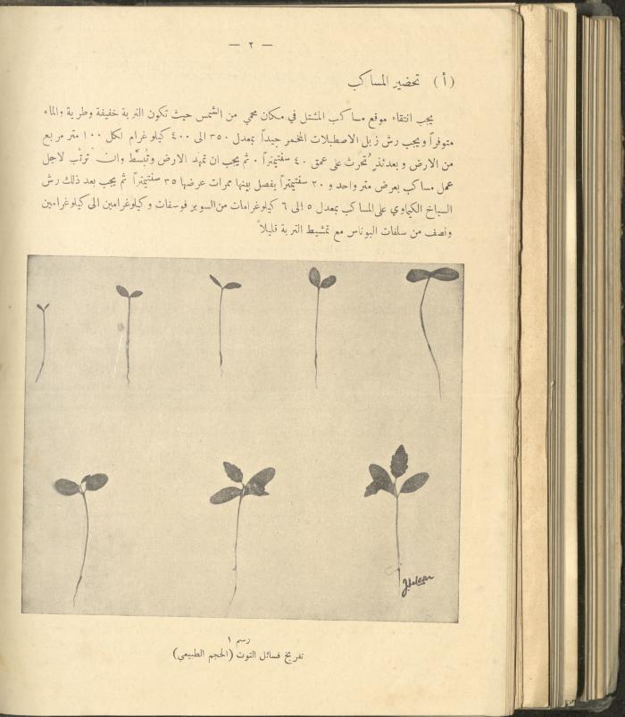 الملحق الزراعي من الوقائع الفلسطينية، ثلاثينيات وأربيعينيات القرن العشرين