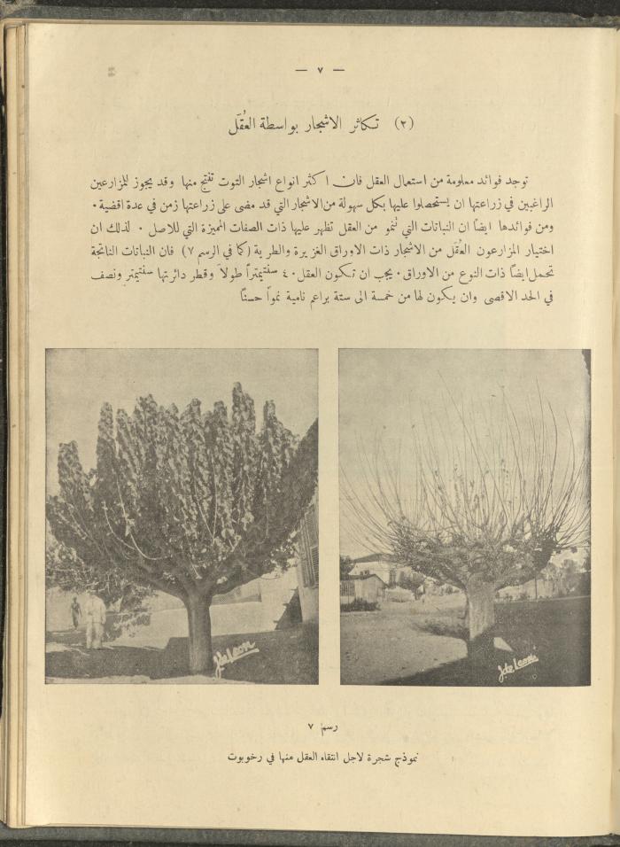 الملحق الزراعي من الوقائع الفلسطينية، ثلاثينيات وأربيعينيات القرن العشرين