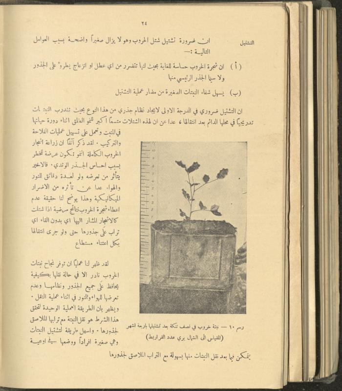 الملحق الزراعي من الوقائع الفلسطينية، ثلاثينيات وأربيعينيات القرن العشرين