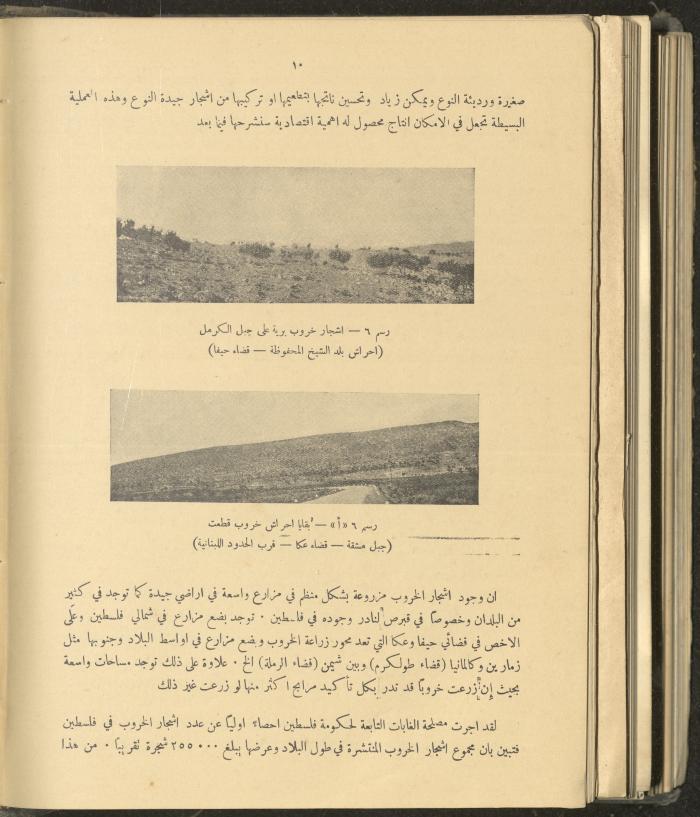 الملحق الزراعي من الوقائع الفلسطينية، ثلاثينيات وأربيعينيات القرن العشرين
