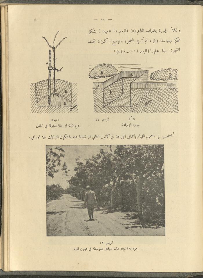 الملحق الزراعي من الوقائع الفلسطينية، ثلاثينيات وأربيعينيات القرن العشرين