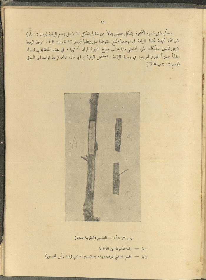 الملحق الزراعي من الوقائع الفلسطينية، ثلاثينيات وأربيعينيات القرن العشرين