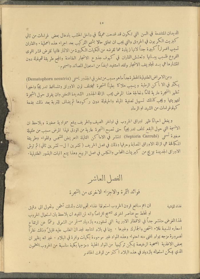 الملحق الزراعي من الوقائع الفلسطينية، ثلاثينيات وأربيعينيات القرن العشرين