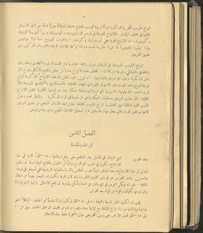 الملحق الزراعي من الوقائع الفلسطينية، ثلاثينيات وأربيعينيات القرن العشرين