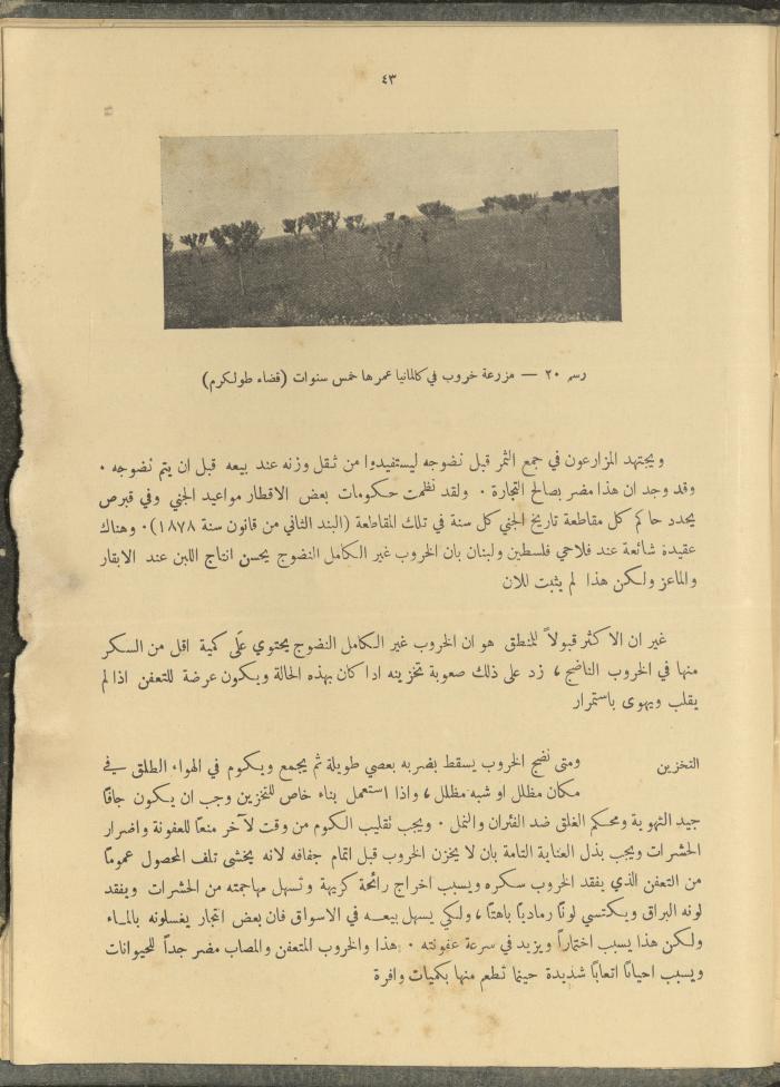 الملحق الزراعي من الوقائع الفلسطينية، ثلاثينيات وأربيعينيات القرن العشرين