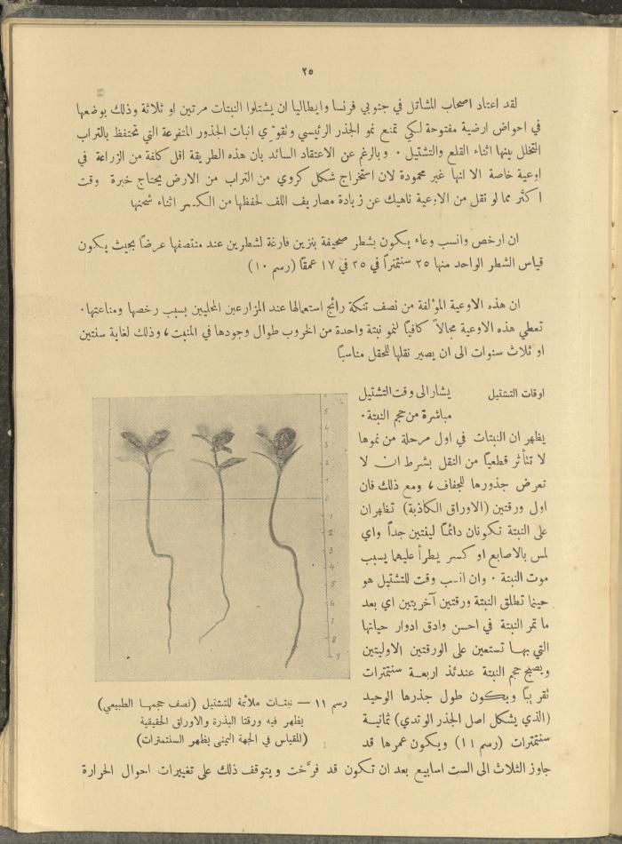 الملحق الزراعي من الوقائع الفلسطينية، ثلاثينيات وأربيعينيات القرن العشرين
