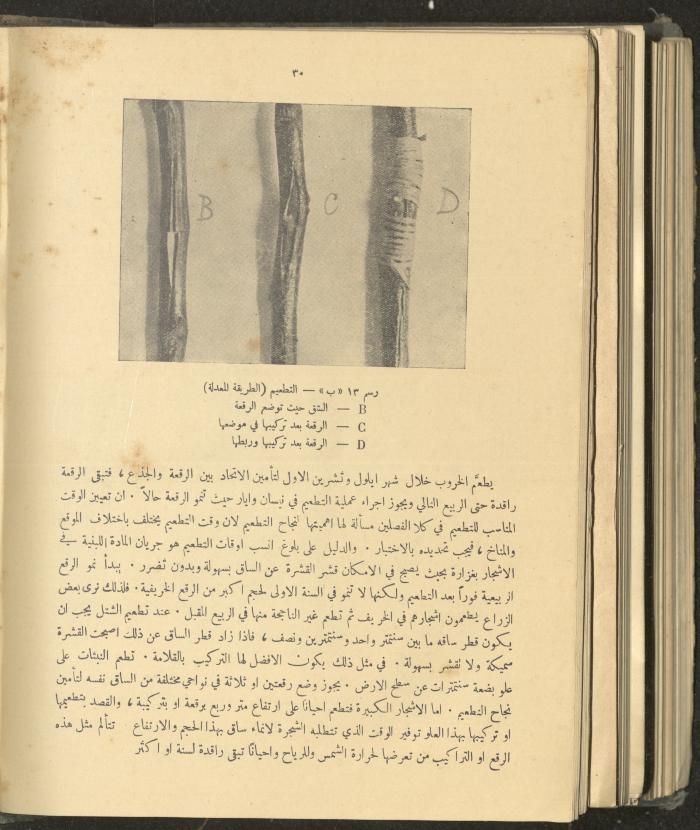 الملحق الزراعي من الوقائع الفلسطينية، ثلاثينيات وأربيعينيات القرن العشرين