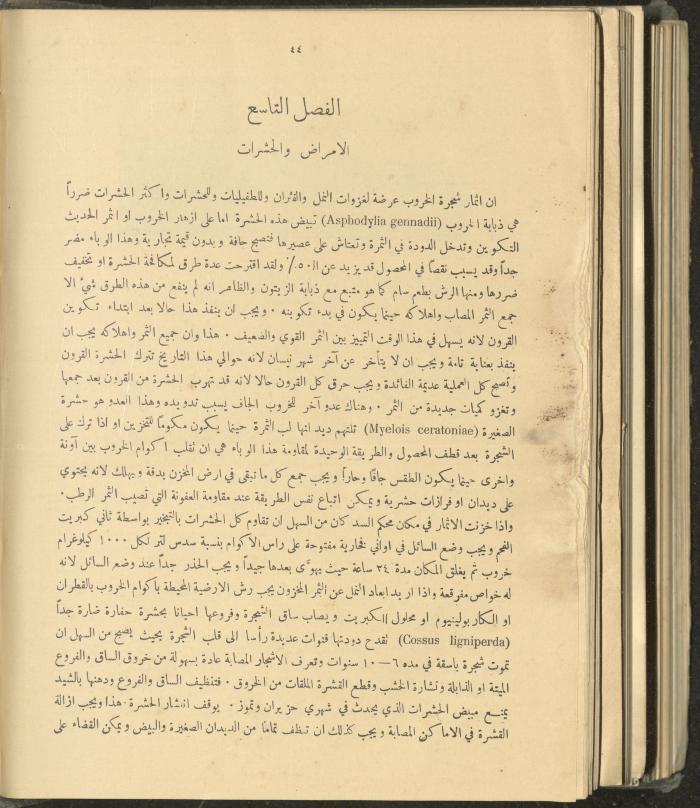 الملحق الزراعي من الوقائع الفلسطينية، ثلاثينيات وأربيعينيات القرن العشرين