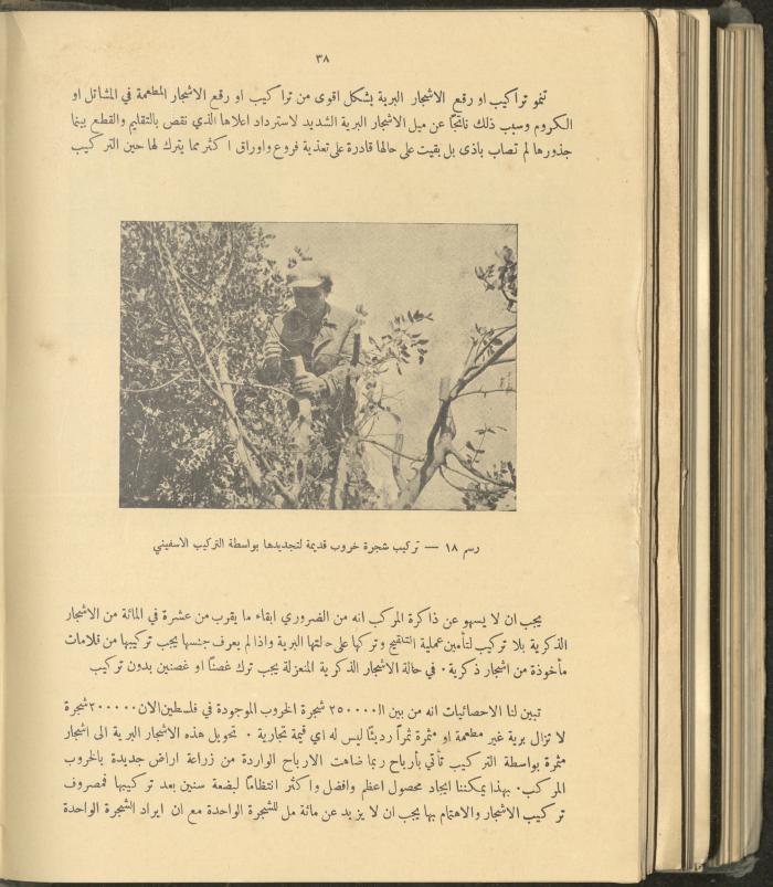 الملحق الزراعي من الوقائع الفلسطينية، ثلاثينيات وأربيعينيات القرن العشرين