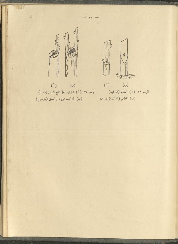 الملحق الزراعي من الوقائع الفلسطينية، ثلاثينيات وأربيعينيات القرن العشرين