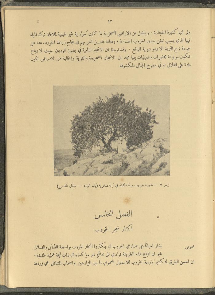الملحق الزراعي من الوقائع الفلسطينية، ثلاثينيات وأربيعينيات القرن العشرين