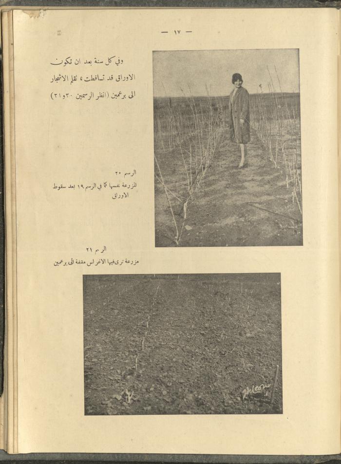 الملحق الزراعي من الوقائع الفلسطينية، ثلاثينيات وأربيعينيات القرن العشرين