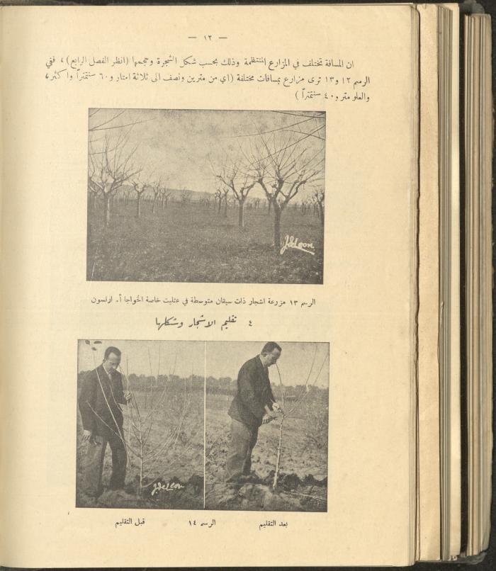 الملحق الزراعي من الوقائع الفلسطينية، ثلاثينيات وأربيعينيات القرن العشرين