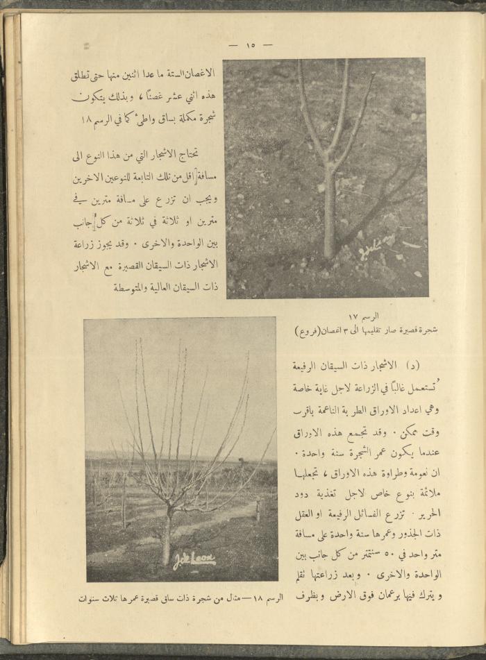 الملحق الزراعي من الوقائع الفلسطينية، ثلاثينيات وأربيعينيات القرن العشرين