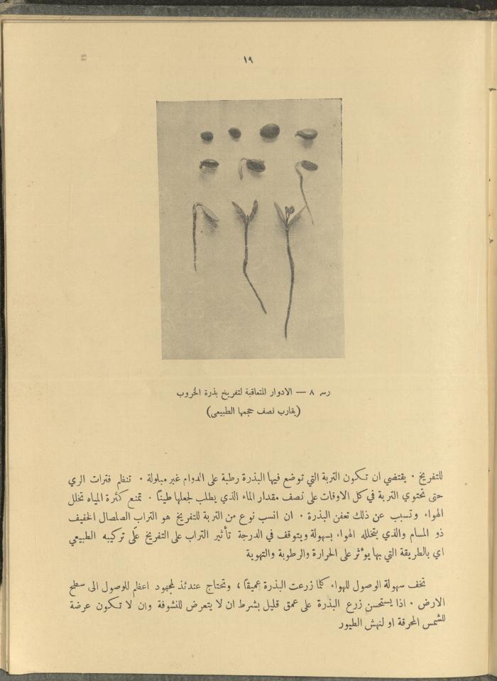 الملحق الزراعي من الوقائع الفلسطينية، ثلاثينيات وأربيعينيات القرن العشرين