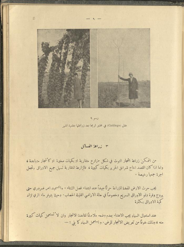 الملحق الزراعي من الوقائع الفلسطينية، ثلاثينيات وأربيعينيات القرن العشرين