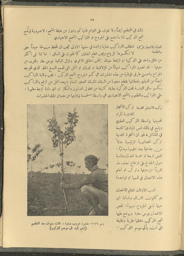 الملحق الزراعي من الوقائع الفلسطينية، ثلاثينيات وأربيعينيات القرن العشرين