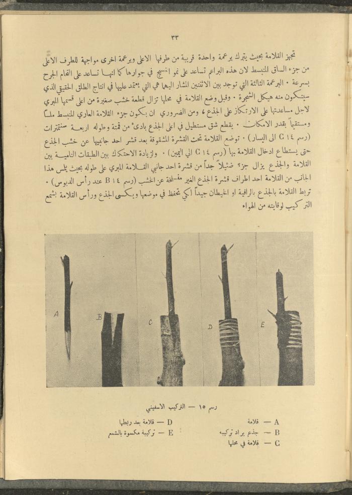 الملحق الزراعي من الوقائع الفلسطينية، ثلاثينيات وأربيعينيات القرن العشرين