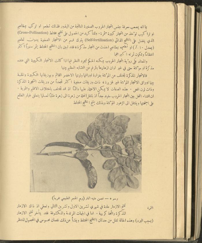 الملحق الزراعي من الوقائع الفلسطينية، ثلاثينيات وأربيعينيات القرن العشرين