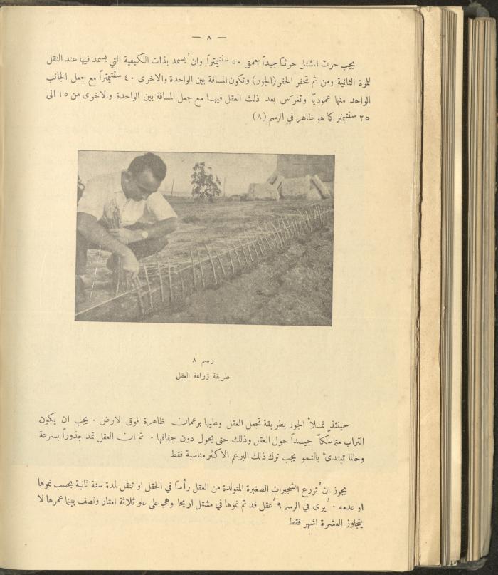 الملحق الزراعي من الوقائع الفلسطينية، ثلاثينيات وأربيعينيات القرن العشرين