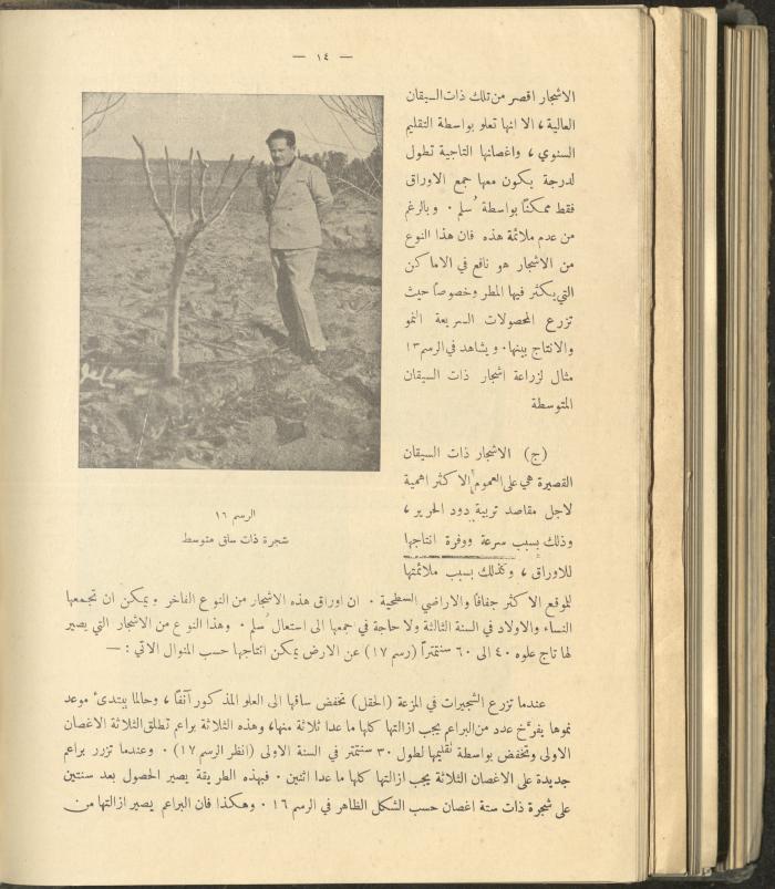 الملحق الزراعي من الوقائع الفلسطينية، ثلاثينيات وأربيعينيات القرن العشرين