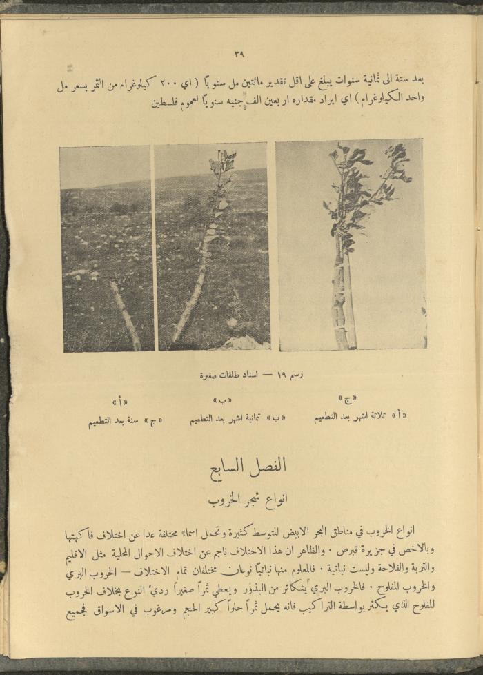 الملحق الزراعي من الوقائع الفلسطينية، ثلاثينيات وأربيعينيات القرن العشرين