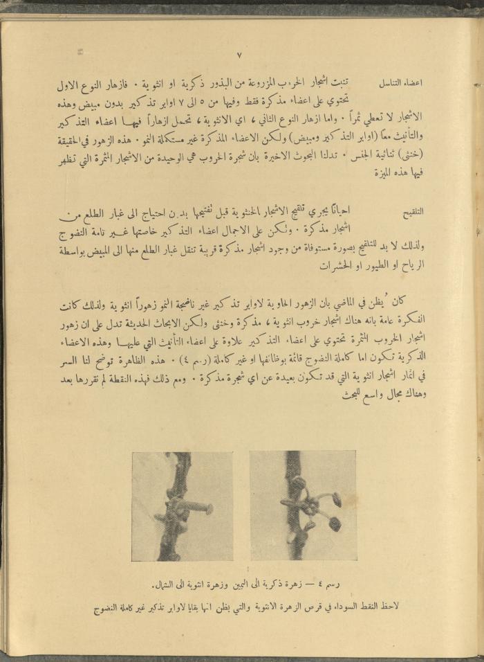 الملحق الزراعي من الوقائع الفلسطينية، ثلاثينيات وأربيعينيات القرن العشرين