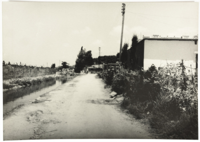 أطراف مخيم برج الشمالي