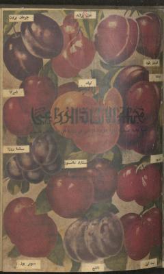 العدد الثالث والعشرون من مجلة الإرشاد الزراعي، تموز 1959
