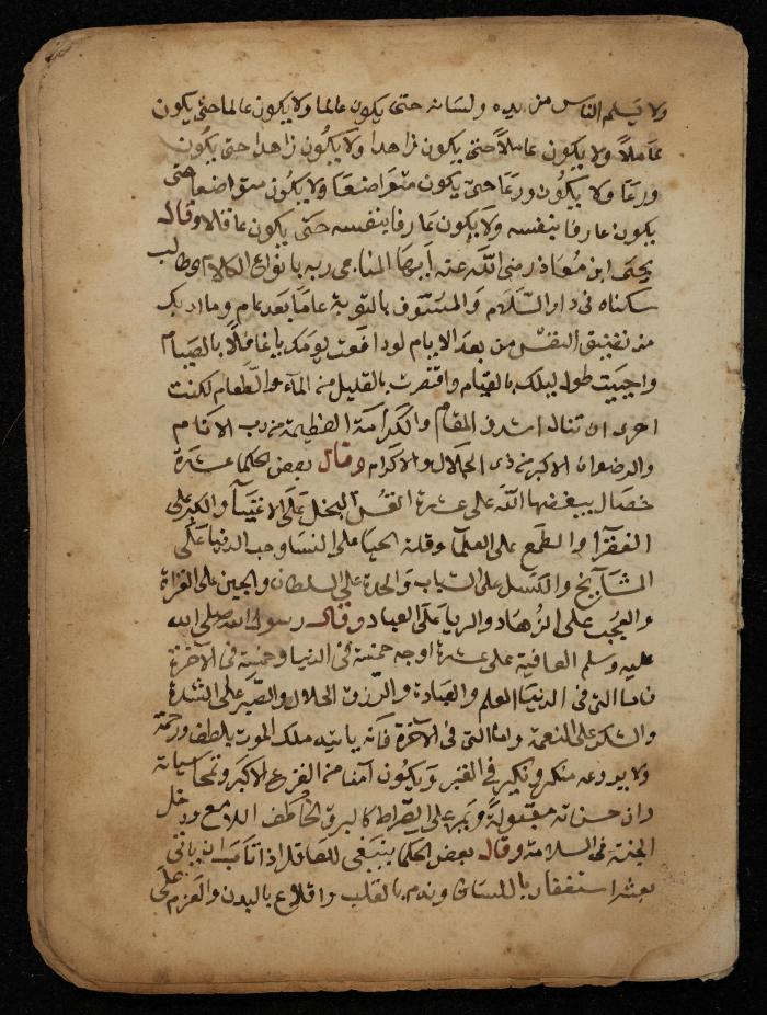 A Manuscript on Prophetic Hadiths, 1728