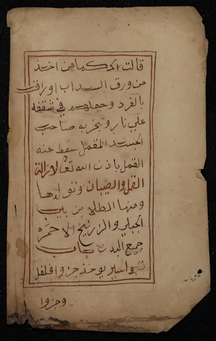 A Manuscript on Traditional Medicine, the 19th Century 