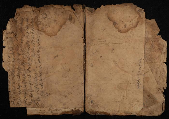 Several Pages of a Manuscript, November 1882
