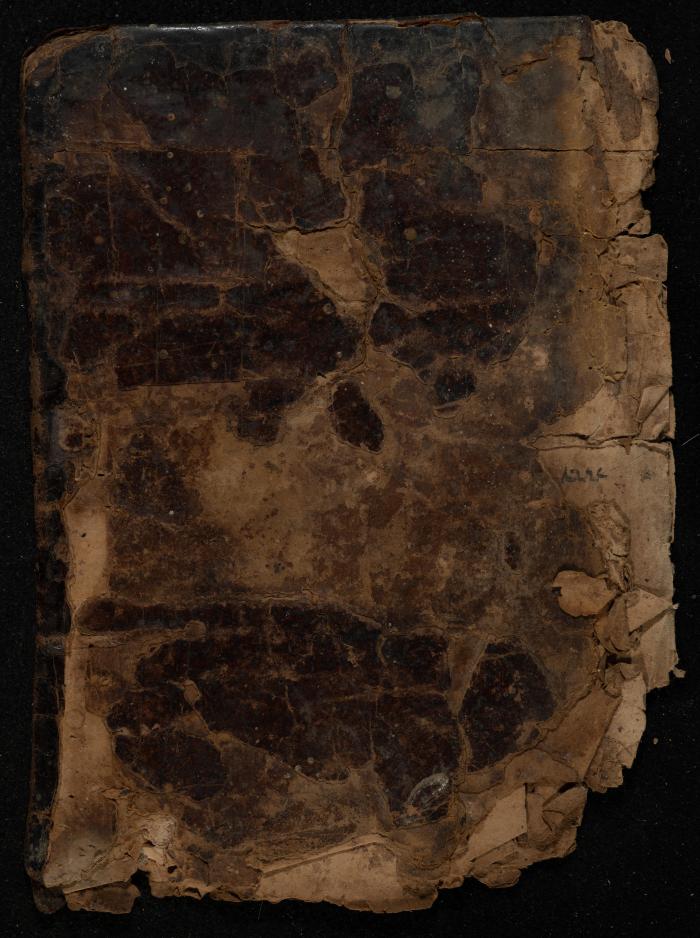 Several Pages of a Manuscript, November 1882