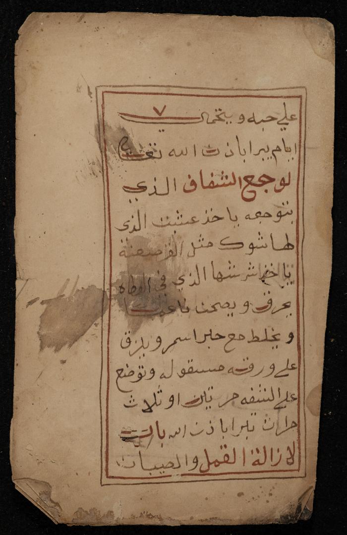 A Manuscript on Traditional Medicine, the 19th Century 